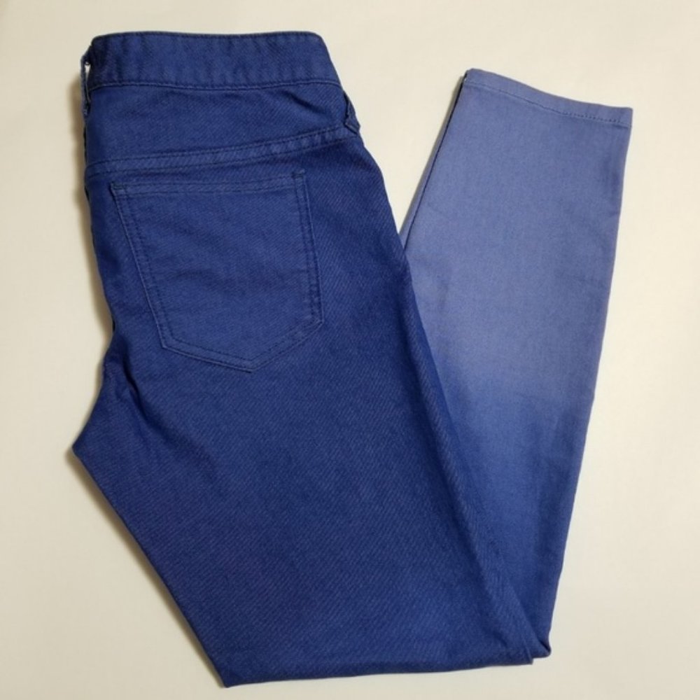 Free People Millennium Purple Blue Ombre Midrise Skinny Jeans